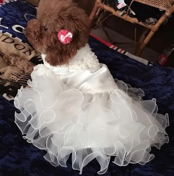 Color: A10A, Size: XS - Various Luxury Princess Pet Dog Wedding Dress Cat Dress Puppy Skirt Clothes Pet Skirt Bride Costume Supplies