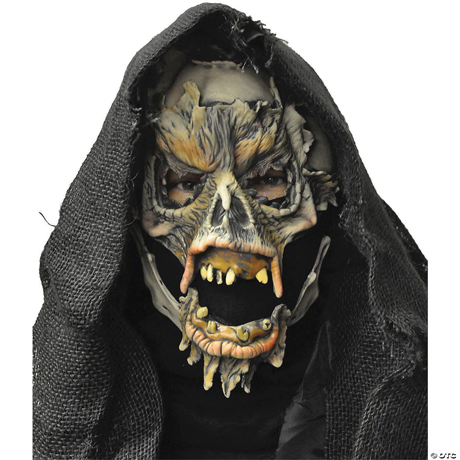 2559BS-2.jpg Decayed - Image 1