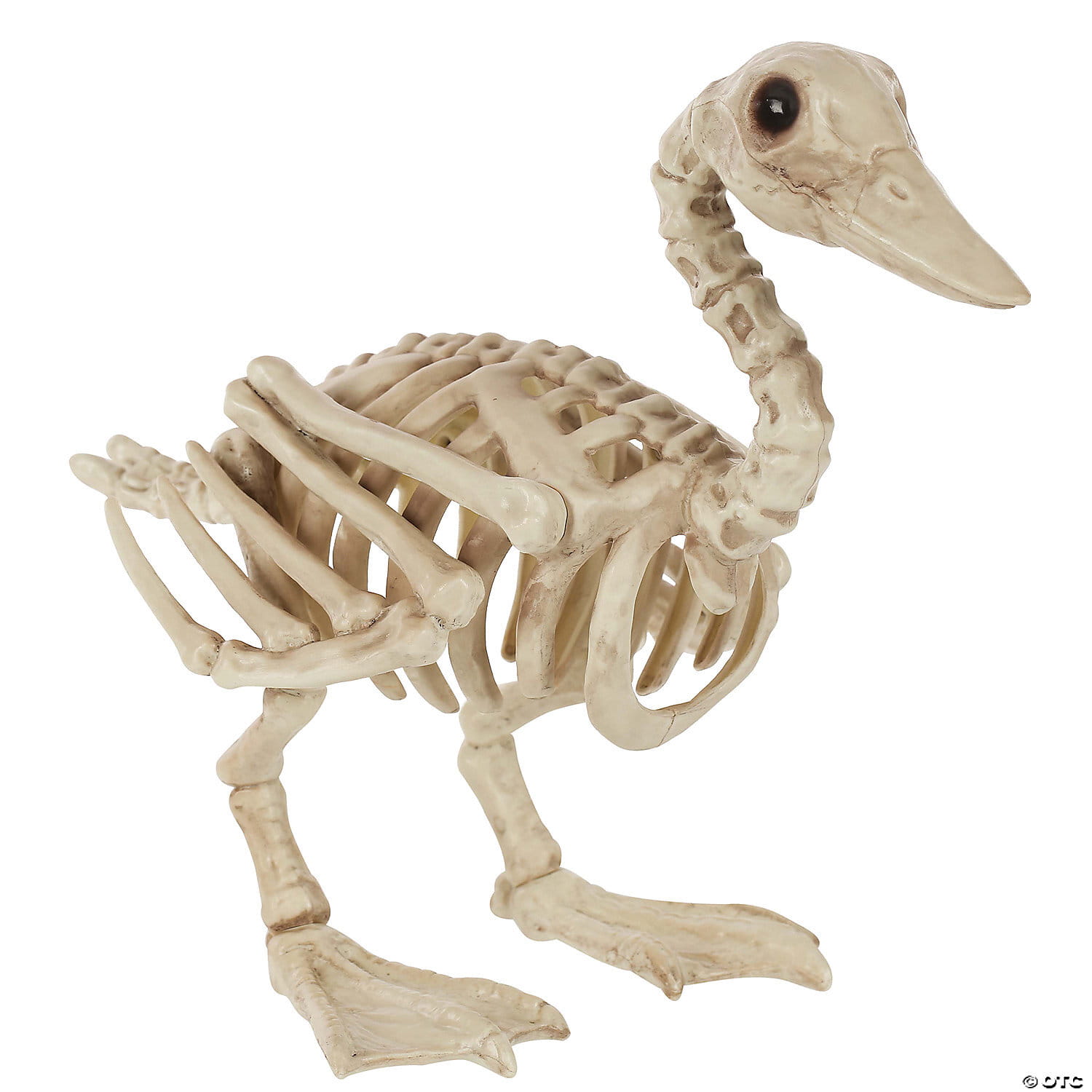 MR01SEW81856.jpg Skeleton duck bonez prop - Image 1