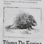 Porcupine Quill Pen