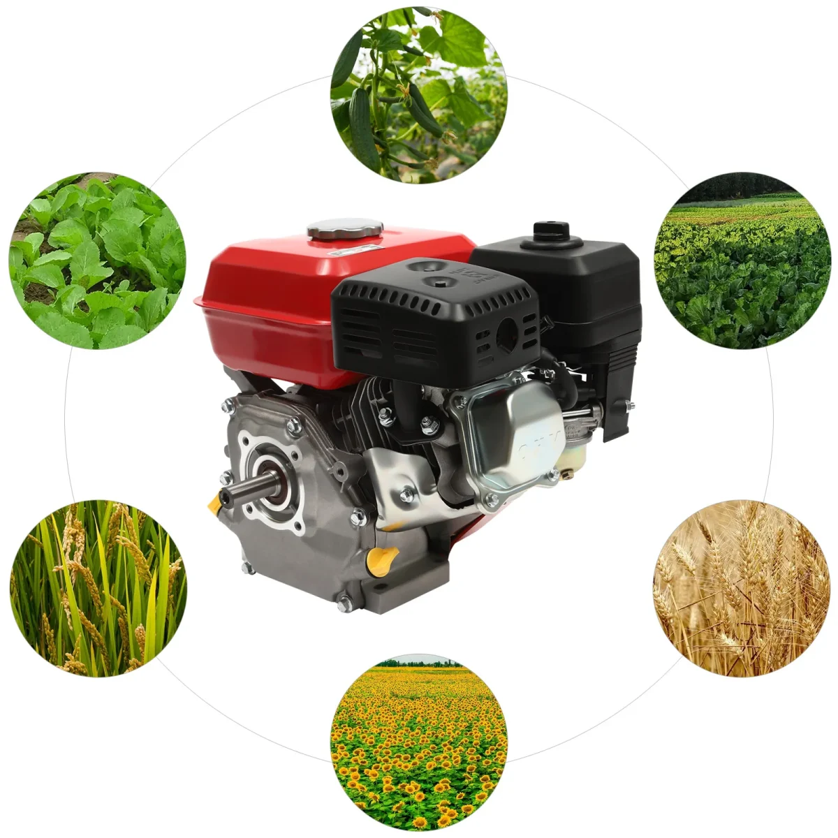 4-Stroke 212cc Petrol Engine,7.5HP 4000W 3600 RPM Single Cylinder Hand-Pulled Gasoline Engine,Diameter of the Crankshaft is 20mm - Image 4