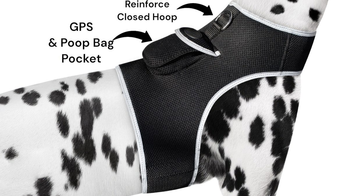 High Quality GSM GPS Cat Dog Tracker Collar Mini Pet Tracking Device Size:M - Image 11