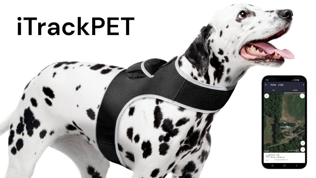 High Quality GSM GPS Cat Dog Tracker Collar Mini Pet Tracking Device Size:M - Image 15