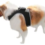 High Quality GSM GPS Cat Dog Tracker Collar Mini Pet Tracking Device Size:M