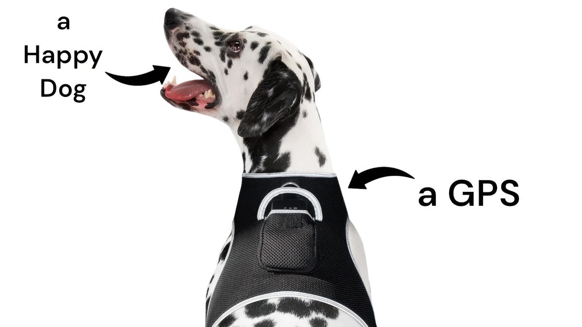 High Quality GSM GPS Cat Dog Tracker Collar Mini Pet Tracking Device Size:M - Image 3