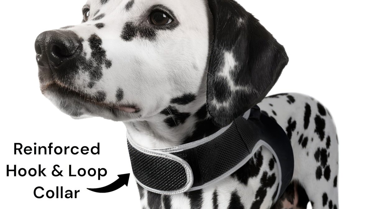 High Quality GSM GPS Cat Dog Tracker Collar Mini Pet Tracking Device Size:M - Image 6