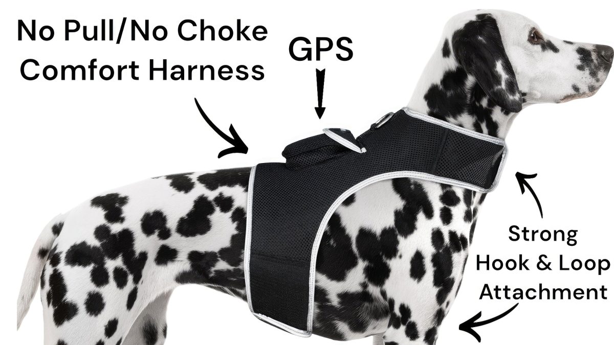 High Quality GSM GPS Cat Dog Tracker Collar Mini Pet Tracking Device Size:M - Image 7
