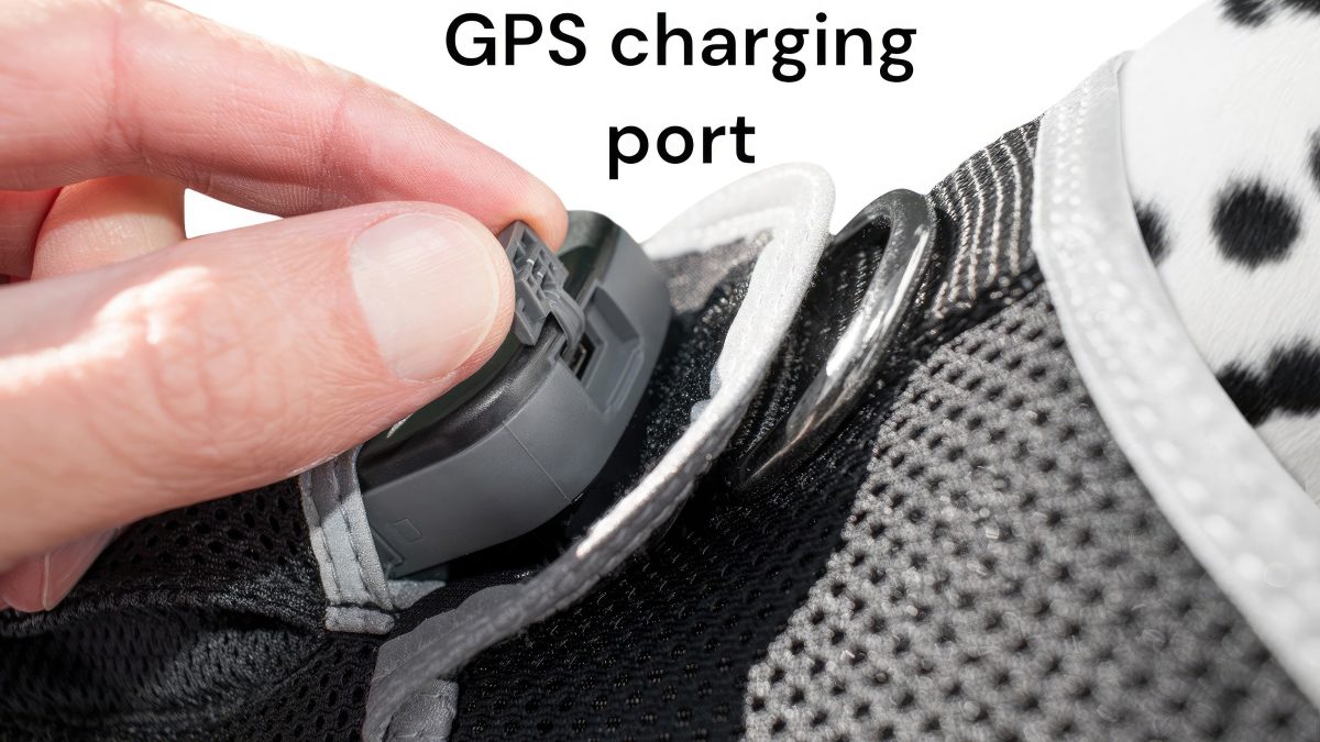 High Quality GSM GPS Cat Dog Tracker Collar Mini Pet Tracking Device Size:M - Image 10