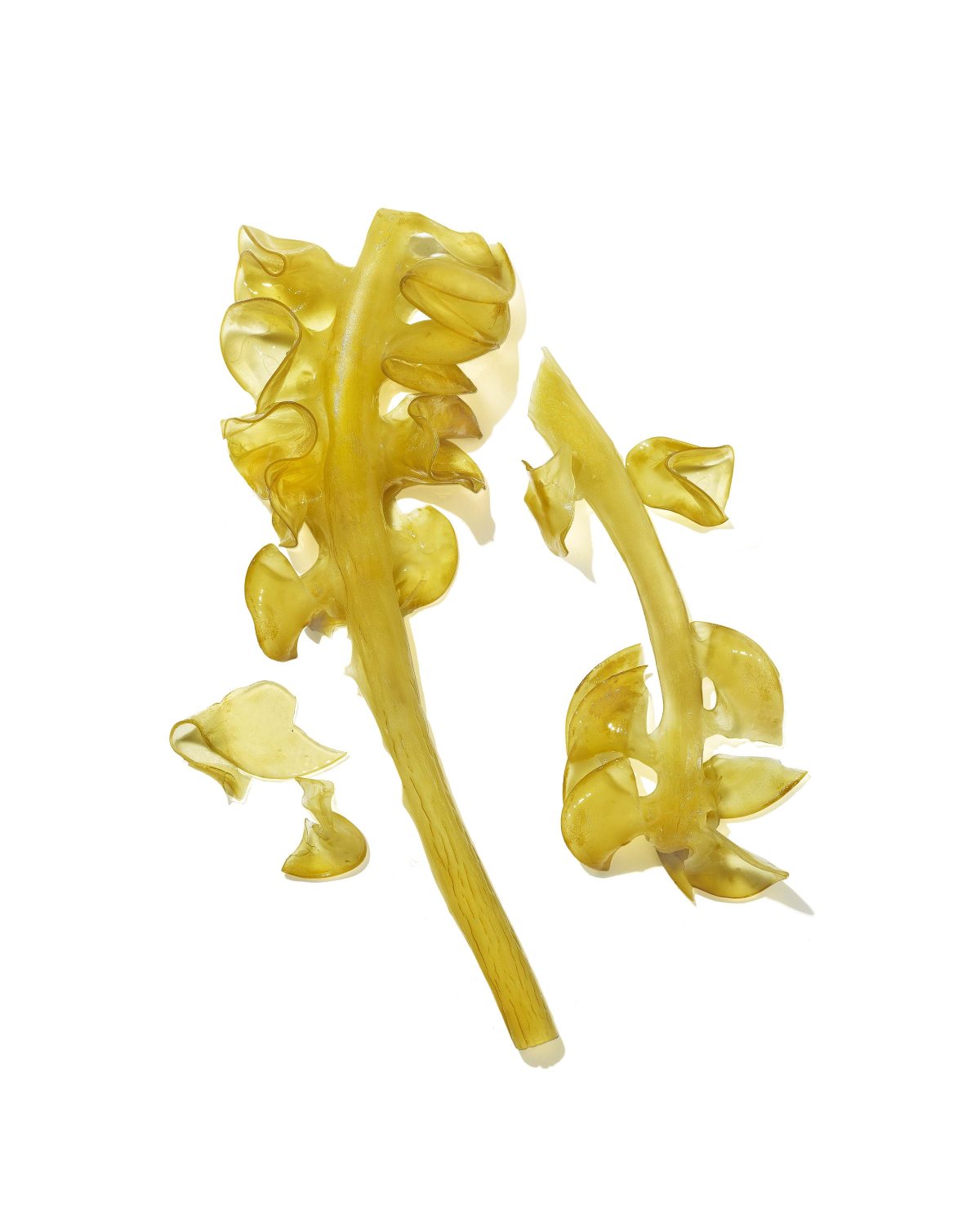MASAMI Mekabu Hydrating Conditioner - Image 4