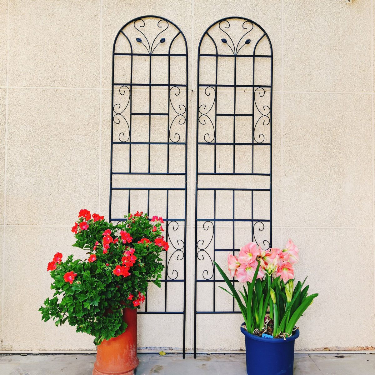 2 Pack Metal Garden Trellis 86.7" x 19.7" Rustproof Trellis for Climbing Plants Outdoor Flower Support Black - Image 4