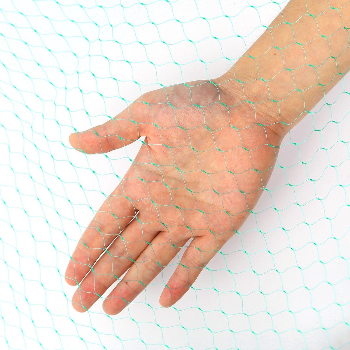 13x33ft Heavy-Duty PE Garden Netting, 430sqft Bird and Animal Protection, 0.6in x 0.6in Mesh, UV-Resistant, Multi-Purpose for Plants - Image 10