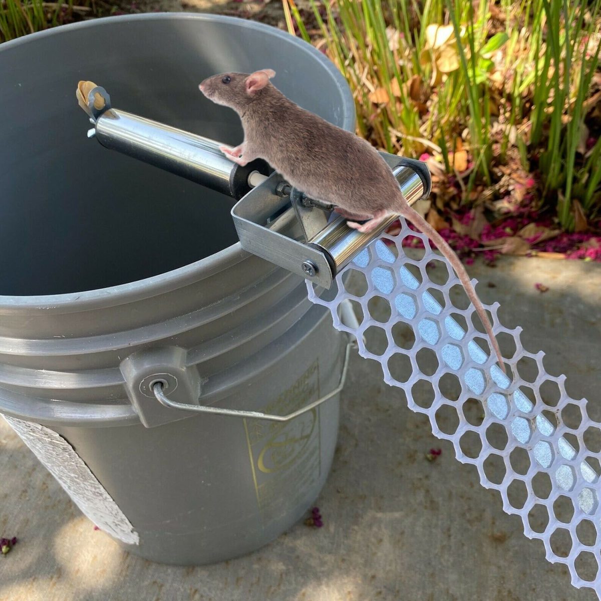 Reusable Mice Rat Mouse Killer Roll Trap Log Rolling Mouse Catcher Rodent Traps Mouse Control - Image 8