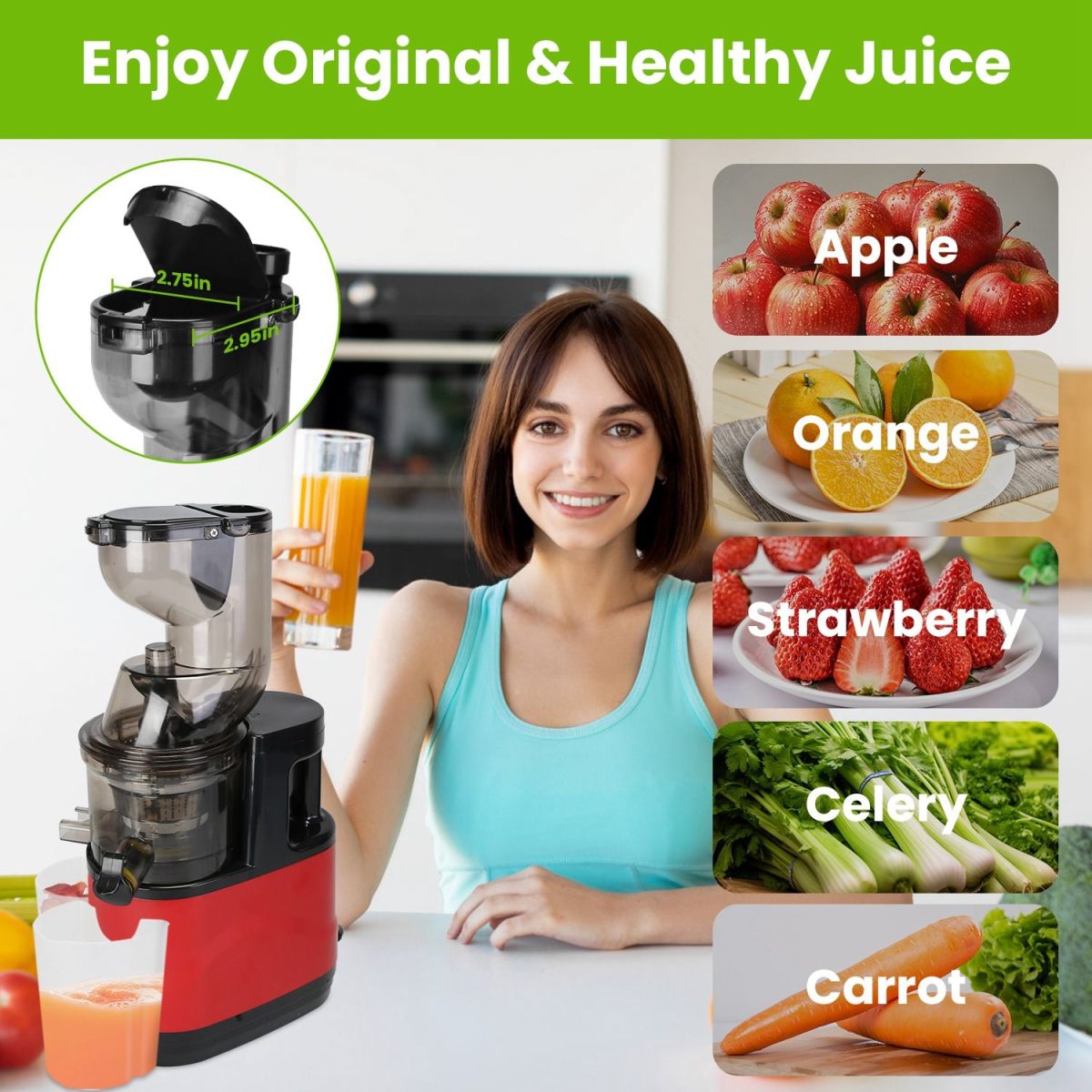 Cold Press Juicer Machine 300W Electric Slow Masticating Juicer for Whole Vegetable and Fruit with Reverse Function 2 Containers Cleaning Brush Clear Marks Easy Cleaning - Image 7