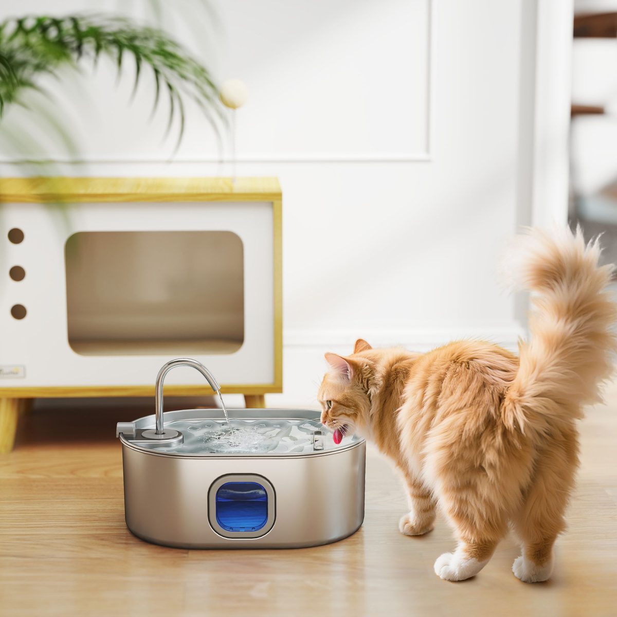 246 oz./7L Stainless Steel Cat Water Fountain with Filters, Ultra-Quiet Pump, for Cats, Dogs & Multi-Pet Homes - Image 10